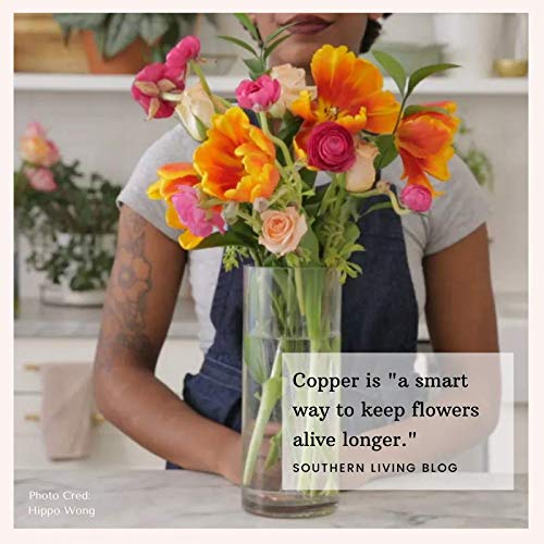 Reusable Pure Copper Flower Vase Charm | Keeps Cut Flower Water Clean