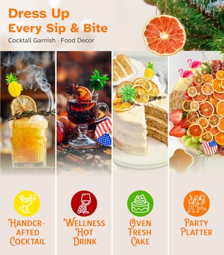 Dehydrated Citrus Slices Set, 70+ Pieces Dried Fruit for Cocktails & Baking