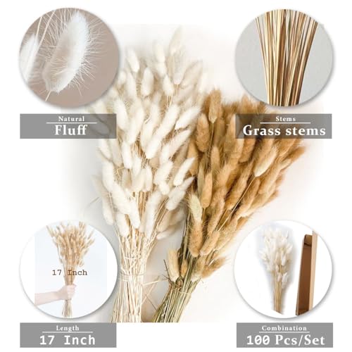 100pcs Dried Bunny Tail Grass Stems - 17 Inch Burnt Orange Boho Decor