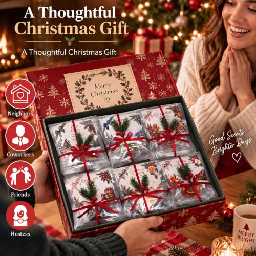 Loopeer 6 Pack Christmas Simmer Pot Potpourri Kit - Holiday Gift Set with Labels & Decorations