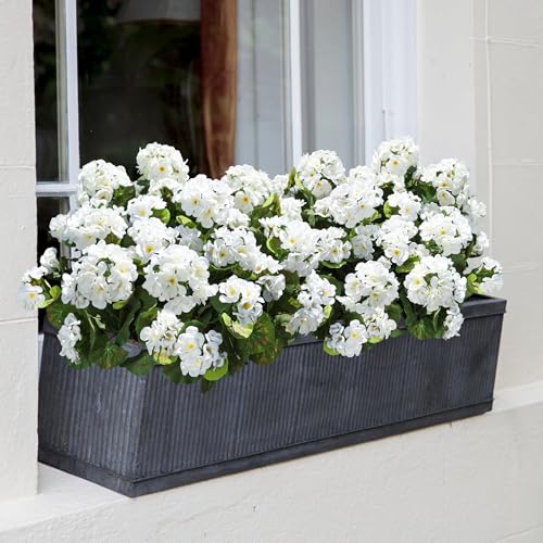 Artificial White Silk Geranium Flowers - UV Resistant Faux Plants (6 Bundles)