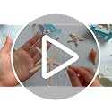 Natural Mixed Starfish Set (12-Piece, 2-6 Inch) - DIY Beach Decor