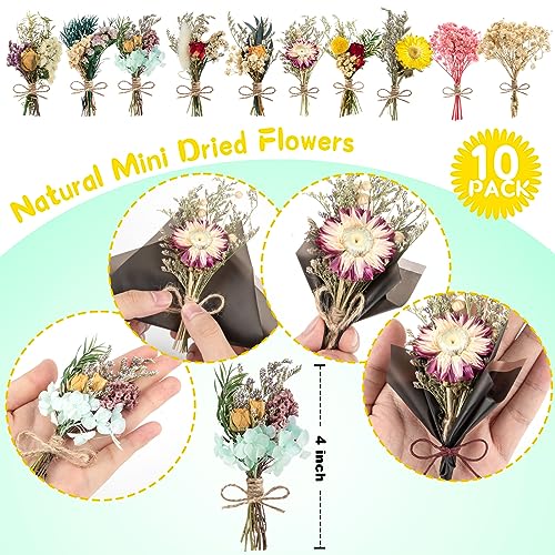 10 Pcs Natural Dried Flowers Bouquet for DIY Crafts and Home Decor