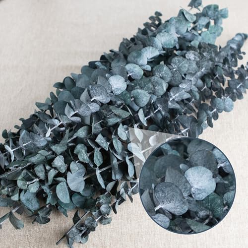 26Pcs Preserved Dried Eucalyptus Stems, 17-Inch Natural Blue-Green Bundle