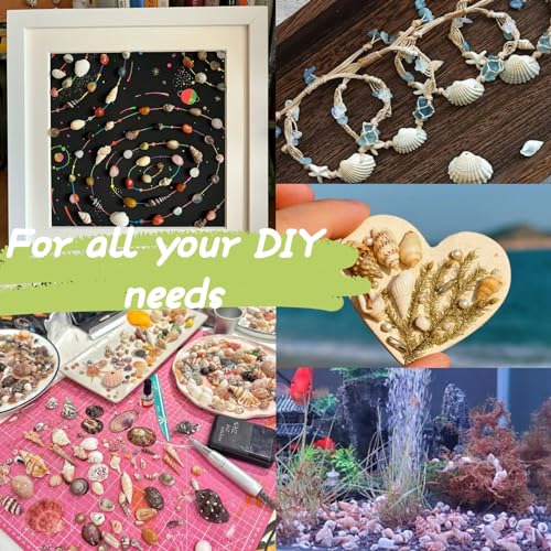 1200 Pcs Natural Mixed Tiny Seashells & 10 Starfish for DIY Crafts & Decor
