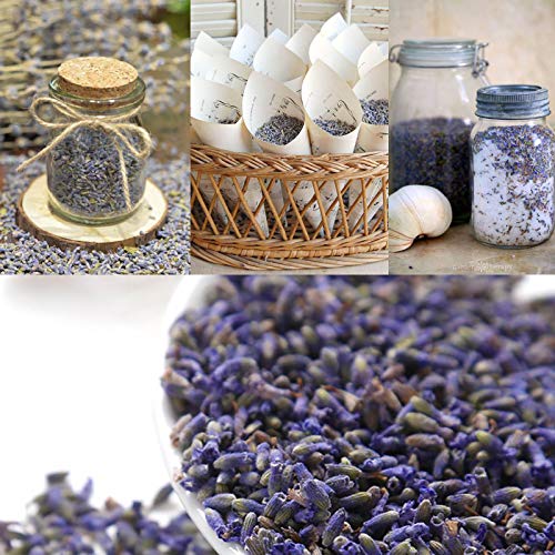Dried Lavender Buds Bulk (1/2 lb) for Crafts, Sachets & Wedding Toss