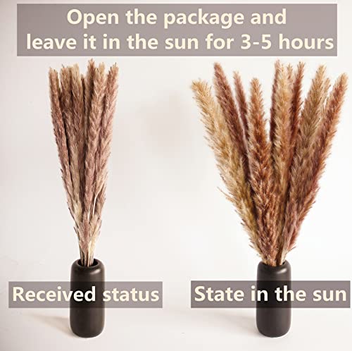 100 Pcs Dried Pampas Grass Decor - 17 Inch Small Boho Bouquet (Brown & White)
