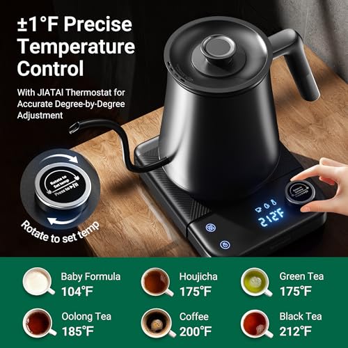 Electric Gooseneck Kettle with Precise Temperature Control, 0.8L