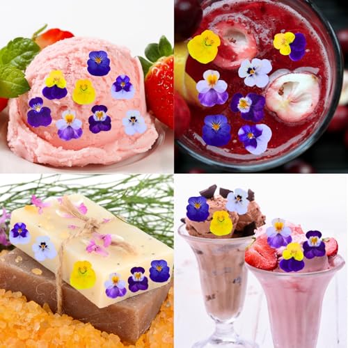 60 Pcs Natural Pressed Dried Viola Flowers for Resin Jewelry and Crafts