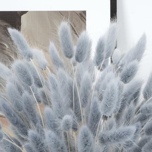 120pcs Blue Bunny Tails Dried Flowers, 16in Natural Lagurus Ovatus Grass
