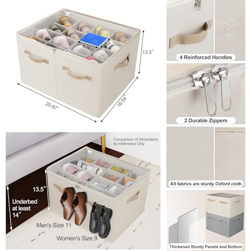 Foldable Shoe Organizer for Closet with Adjustable Dividers and Clear Lid