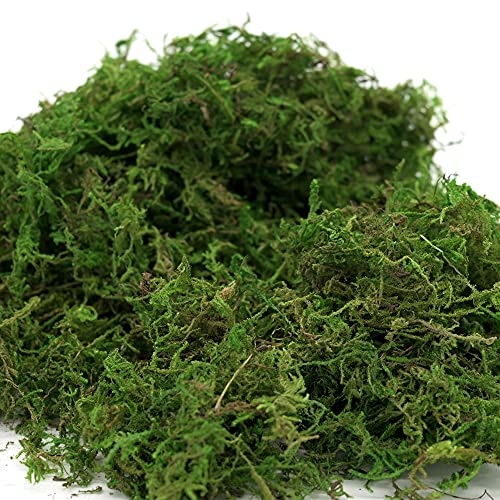 Artificial Decorative Moss, 16oz Faux Green Moss for Crafts and Terrariums