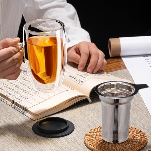Baalaka 16 fl oz Double-Wall Glass Tea Mug with Infuser & Lid