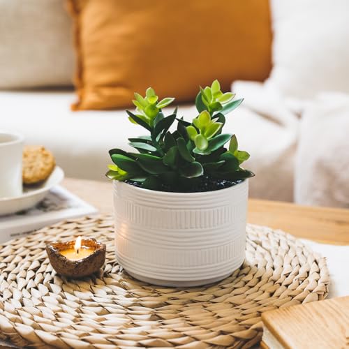 Artificial Succulent in White Ceramic Pot, 7.5-Inch Faux Plant Decor