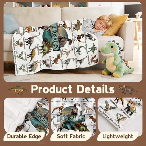 Aniruddha Dinosaur Blanket for Kids - Queen Size 60x80 Inches, Dinosaur Gifts for Boys & Girls