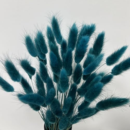 HSTEY 120pcs Bunny Tails Dried Pampas Grass Bouquet - Teal, 17 Inch