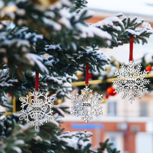 Hotop 12-Pack Silver Metal Christmas Snowflake Ornaments Holiday Decor