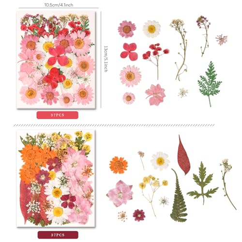 330PCS Natural Pressed Dried Flowers and Leaves Set with Tweezers