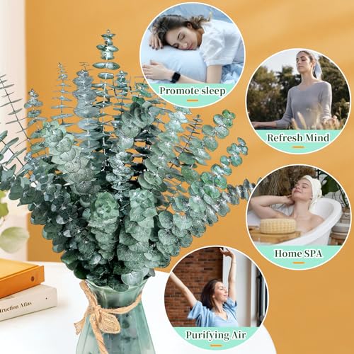 21-Piece Preserved Eucalyptus Stems, 17-Inch Natural Greenery for Decor