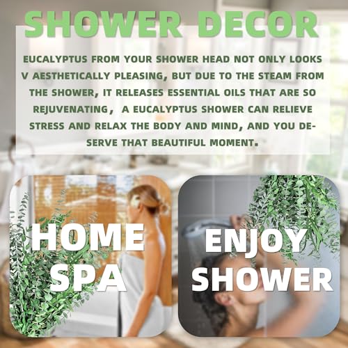 12PCS Natural Dried Eucalyptus Stems for Shower and Home Decor