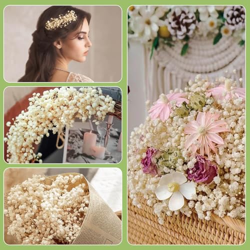 Dried Baby's Breath Flowers - 17-Inch Natural Ivory Gypsophila Bouquet