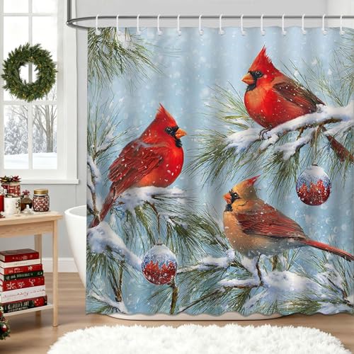 Christmas Red Bird Shower Curtain - Winter Robin & Cardinal Bathroom Decor, 72x72 Inches with Hooks