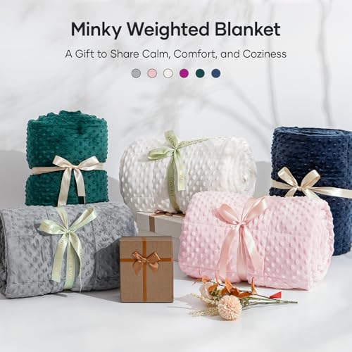 20lb Weighted Blanket for Adults, 60x80in Reversible Cooling Minky Throw