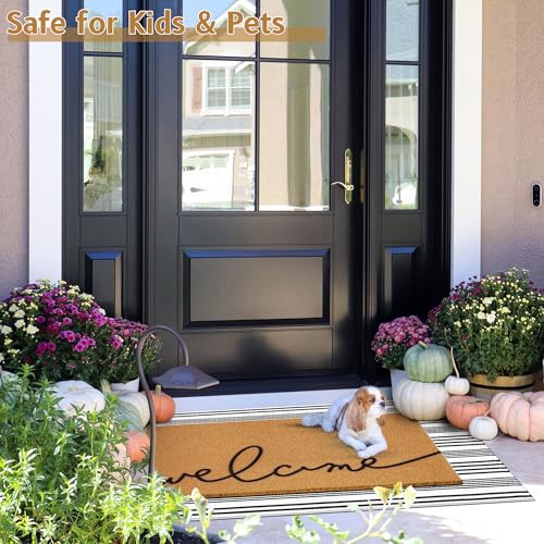 2-Piece Layered Welcome Doormat Set, Non-Slip Striped Farmhouse Porch Rug