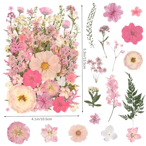 50 Pcs Pink Pressed Dried Flowers & Leaves with Tweezers for Resin Crafts & DIY