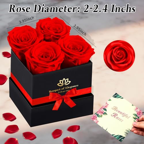 Real Preserved Red Roses in a Box - Long-Lasting Forever Rose Gift Box