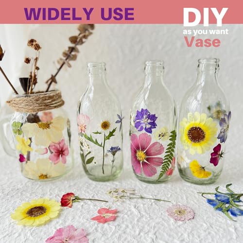 Natural Pressed Dried Flowers for Resin Art, Jewelry Making, and Crafts