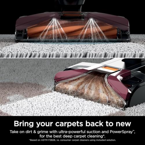 Upright Carpet & Upholstery Cleaner with Built-in Spot Stain Eliminator