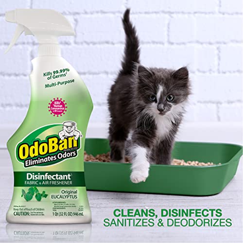 Disinfectant Spray and Odor Eliminator - 32 oz Eucalyptus Scent
