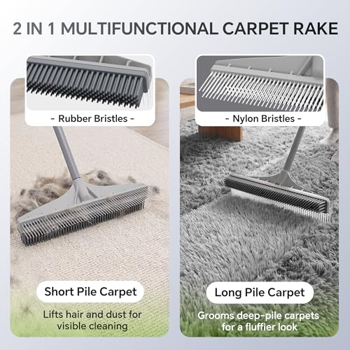 2-in-1 Carpet Rake & Pet Hair Removal Broom with Adjustable Handle