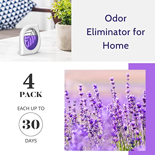 Lavender Air Freshener & Odor Eliminator for Home & Closets - 4 Pack