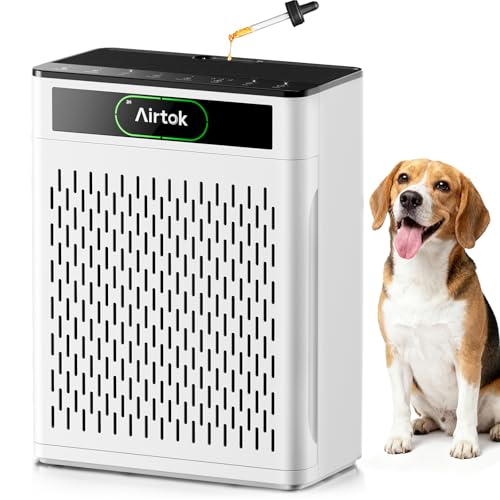 Large Room HEPA Air Purifier for Home, Smoke, Pet Hair, and Sleep Mode