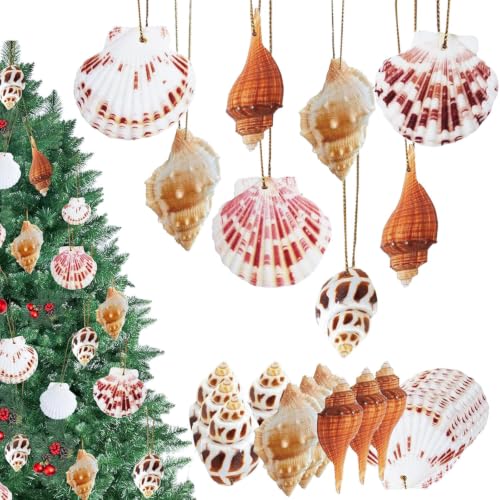 20PCS Seashell Hanging Ornaments for Beach & Holiday Decor