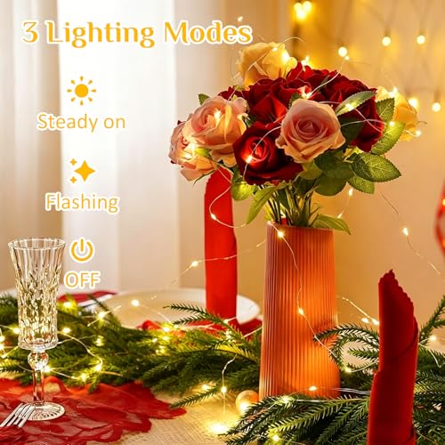 QITONG Warm White Battery Operated Fairy Lights 4 Pack 16ft 50 LEDs Outdoor Indoor Twinkle