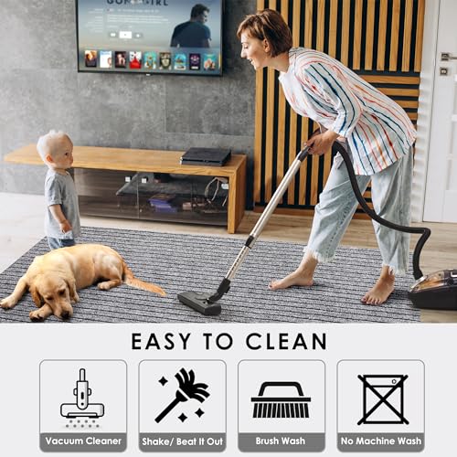 Non-Slip Runner Rug 2ft x 6ft Low Pile Indoor Outdoor Carpet Mat