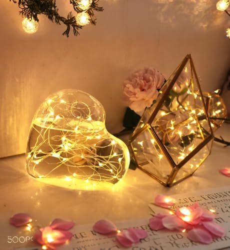OakHaomie 6-Pack Battery Operated Fairy Lights, 6.5ft Warm White Twinkle Firefly Lights with Remote Control and Timer for Wedding, Party, and Home Decor