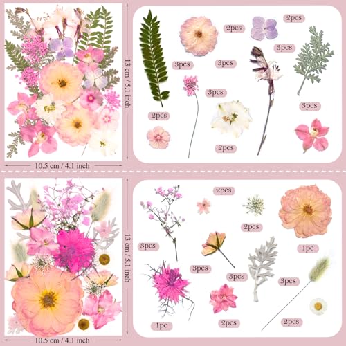 92 Pcs Natural Pressed Dried Flowers for Resin Art, Soap, and Jewelry