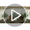 3-Pack Small Artificial Eucalyptus Plants in Pots for Home Office Desk Decor