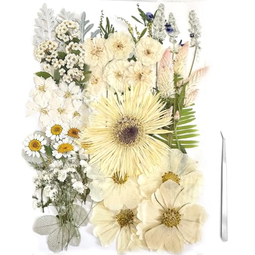 Natural Pressed Dried Flowers for Resin Art, Jewelry Making, and Crafts