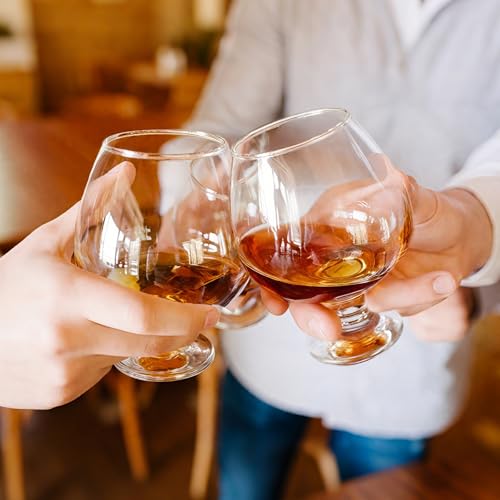 Binsakao 17 oz Set of 6 Short Stem Brandy Glasses for Spirits & Cocktails