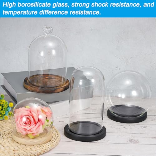 PATIKIL 7.3x5.9 Inch Clear Borosilicate Glass Cloche with Wooden Base for Home Decor and Display