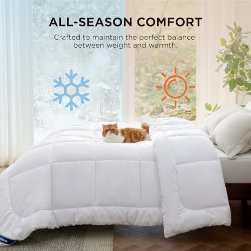 Bedsure Queen Comforter and Duvet Insert - All Season Down Alternative Quilted Bed Blanket with Corner Tabs