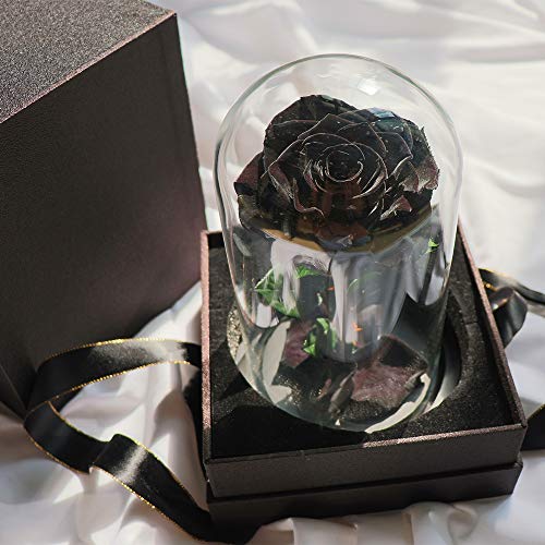 Preserved Black Rose in Glass Dome with Wooden Base - Handmade Gift