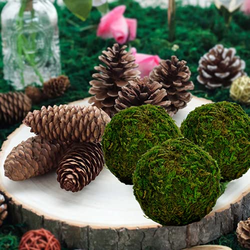 Natural Preserved Moss Decorative Balls, 3.5-Inch Set of 6