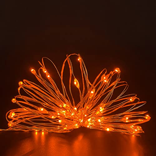 Yalilong Battery-Operated Dewdrop Fairy Lights with Timer, 30 LEDs, 10ft Indoor Decoration (Orange)