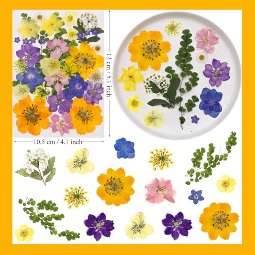 34Pcs Real Pressed Dried Flowers and Leaves for Resin Art and DIY Crafts